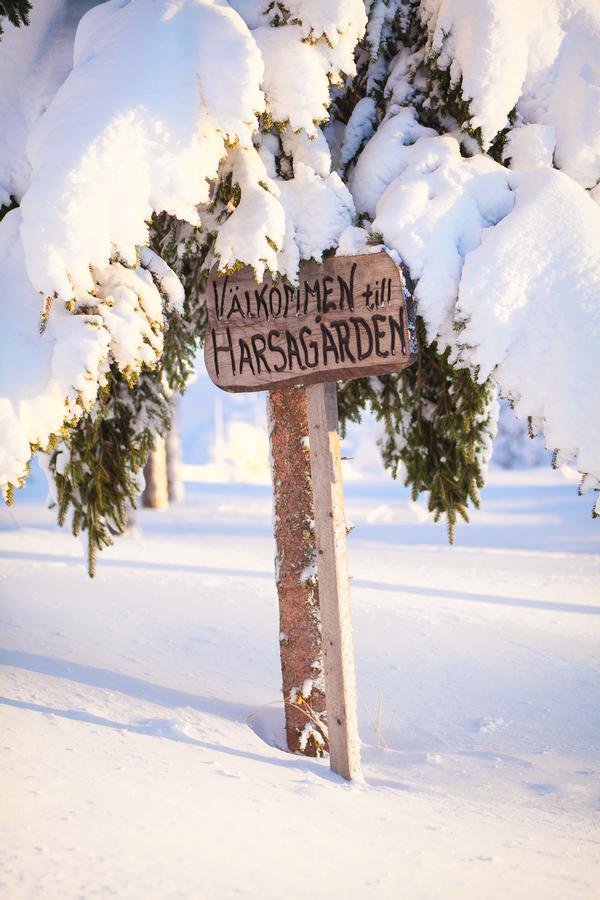 Helsingegarden Jarvso